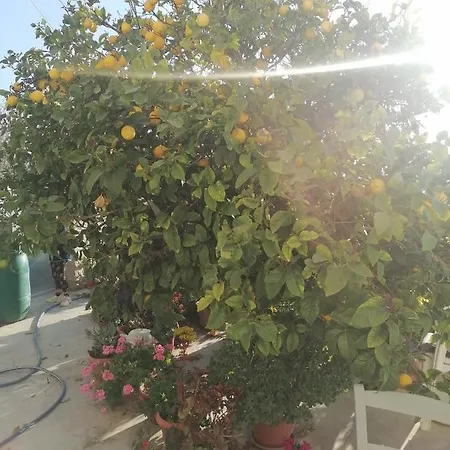 Apartmán Maria's House